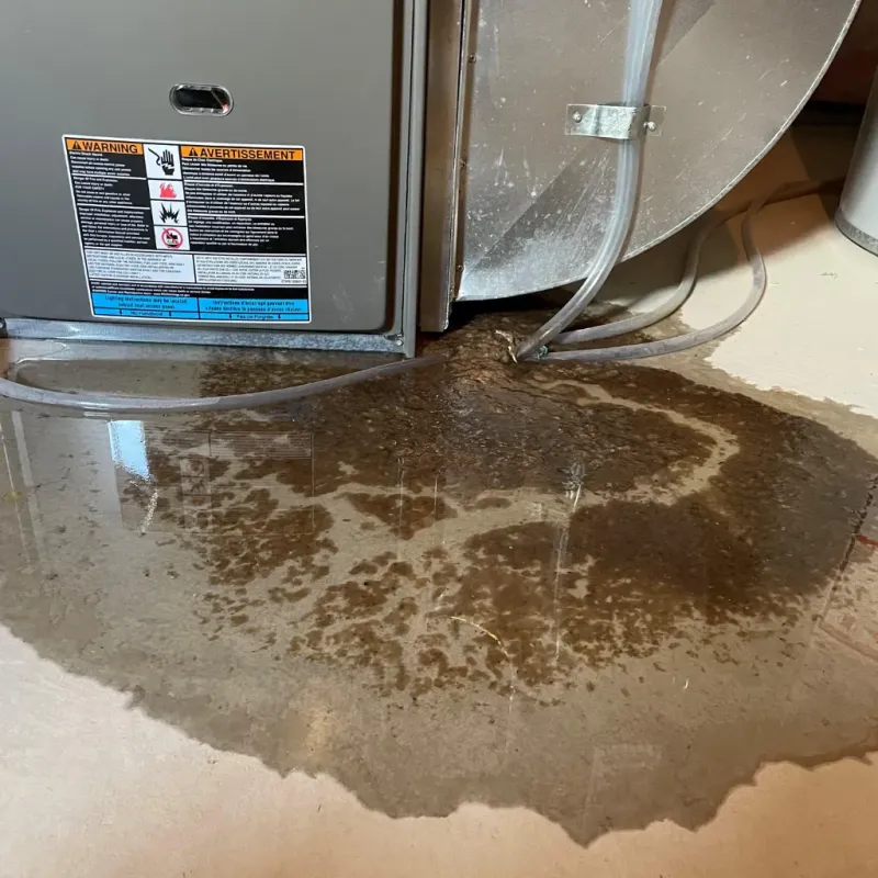 Appliance Leak Cleanup in Hallsville, TX